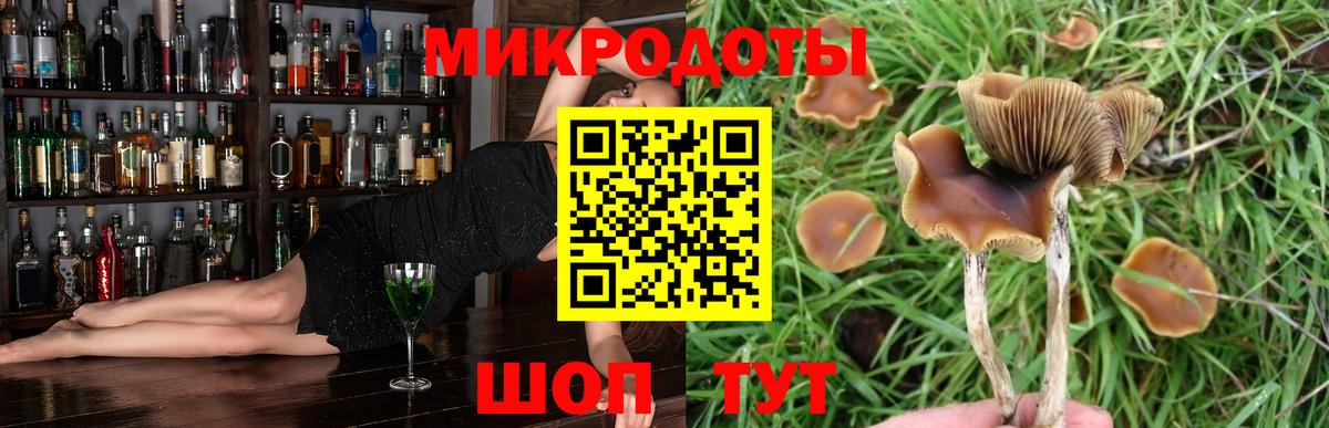 Галлюциногенные грибы Magic Shrooms  Вход с VPN  Псилоцибиновые грибы Magic Shrooms  Волгодонск 